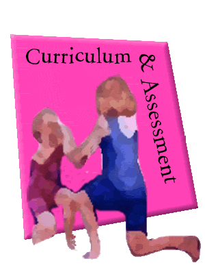 curriculum & assessment logo